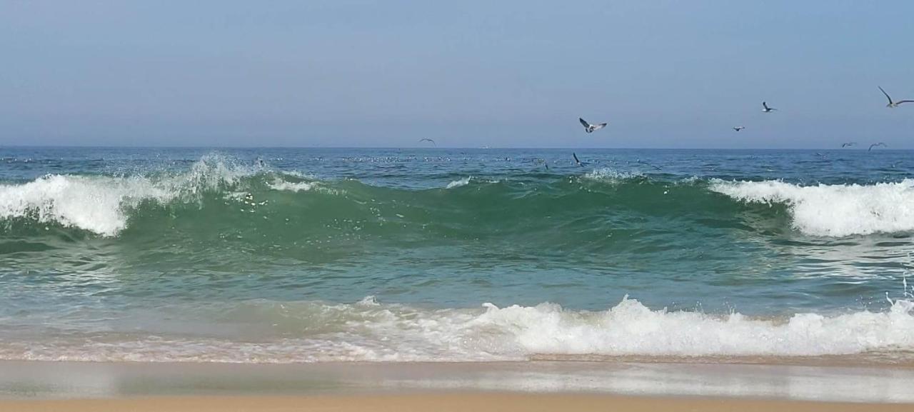 Casa Da Mata Villa Praia de Mira Kültér fotó