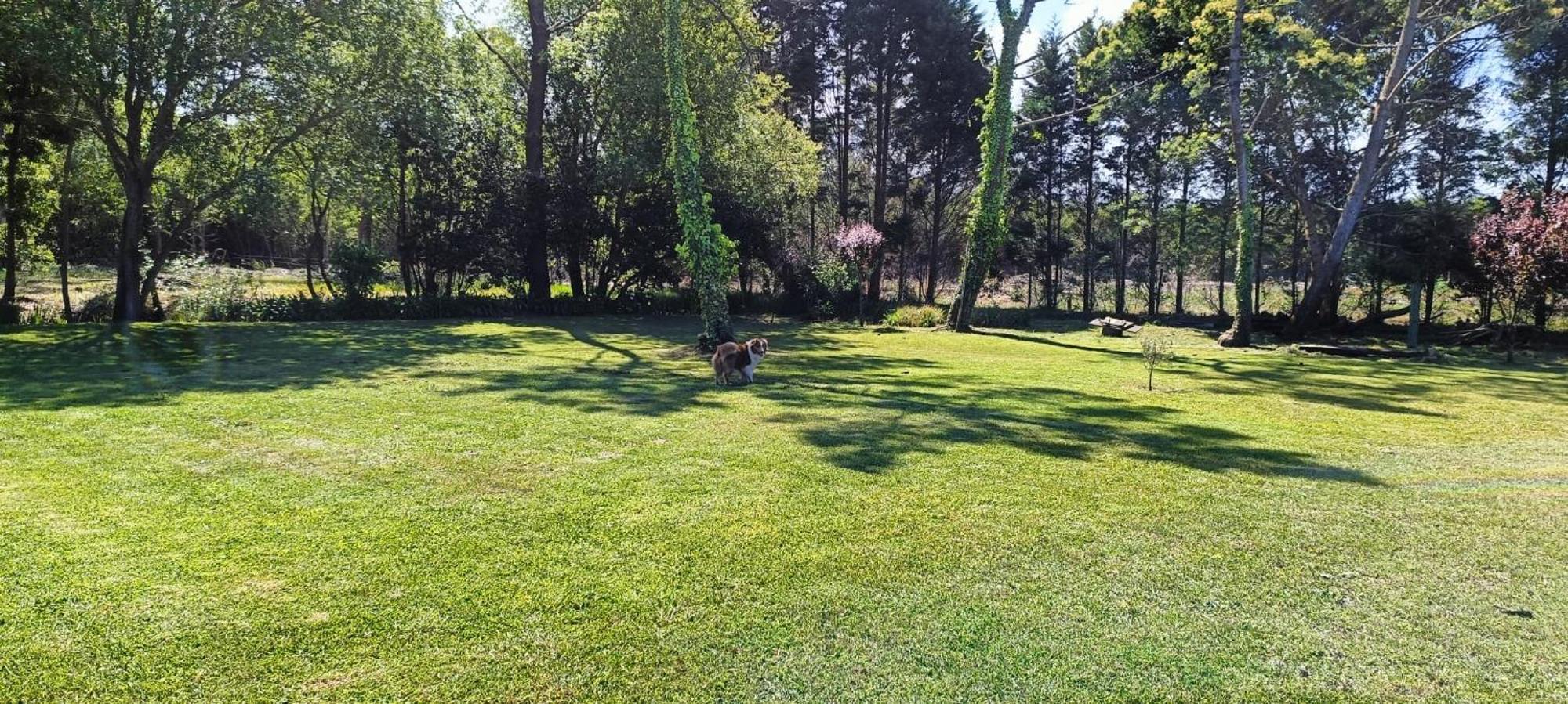 Casa Da Mata Villa Praia de Mira Kültér fotó