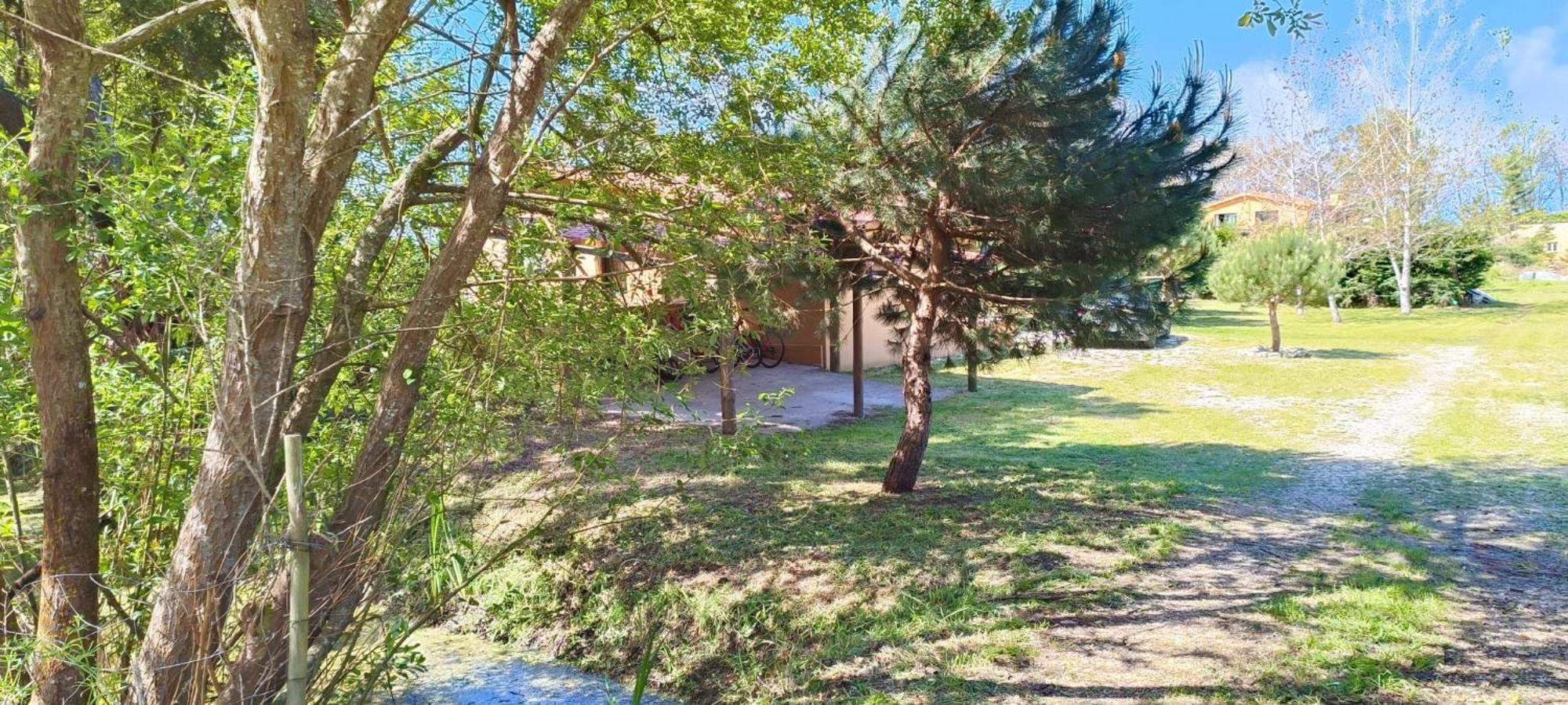 Casa Da Mata Villa Praia de Mira Kültér fotó