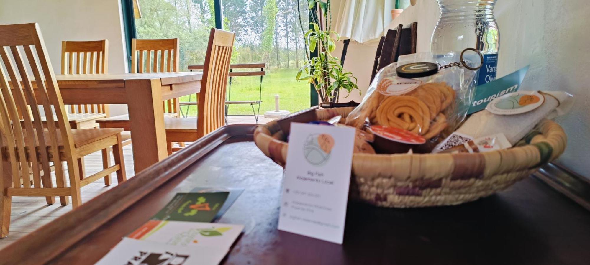 Casa Da Mata Villa Praia de Mira Kültér fotó